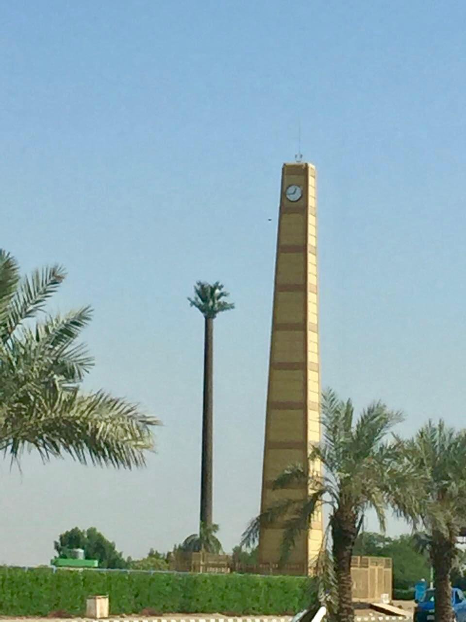 Clock and palm tree camouflage towers side by side, Sudan
