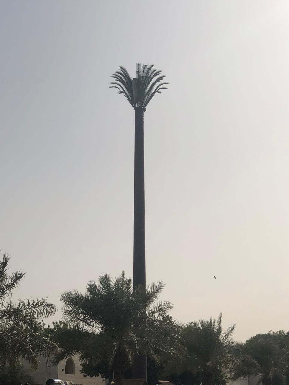 Palm tree camouflage tower among palm trees, Sudan
