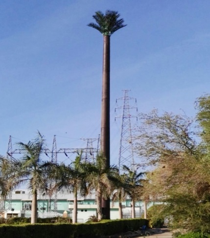 Palm tree camouflage installation, Sudan